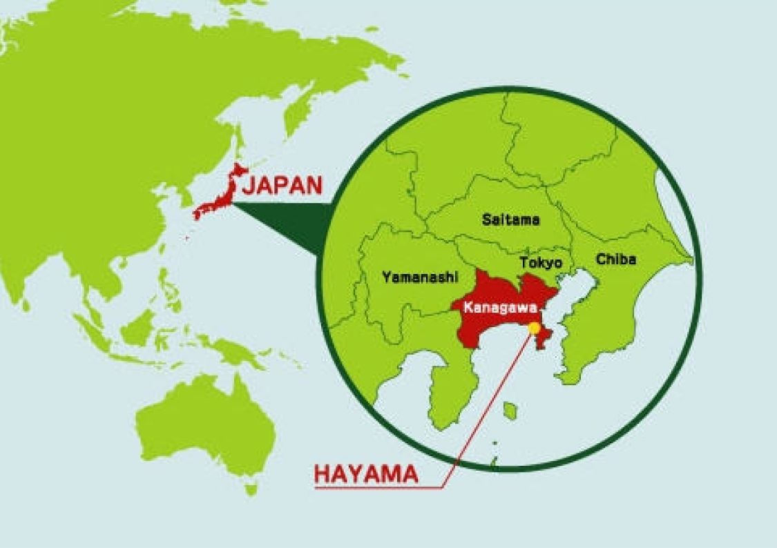 Hayamacitymap
