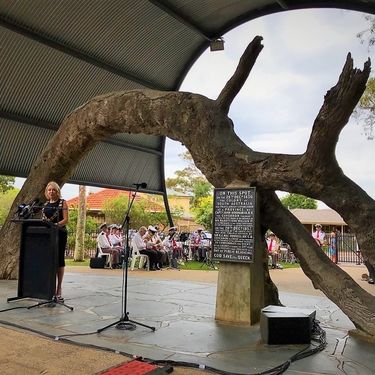 Mayor Amanda Wilson's Proclamation Day Address